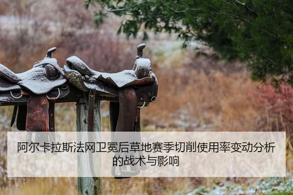 a-er-ka-la-si-fa-wang-wei-mian-hou-cao-di-sai-ji-qie-xiao-shi-yong-lv-bian-dong-fen-xi-de-zhan-shu-yu-ying-xiang-2-724.jpg